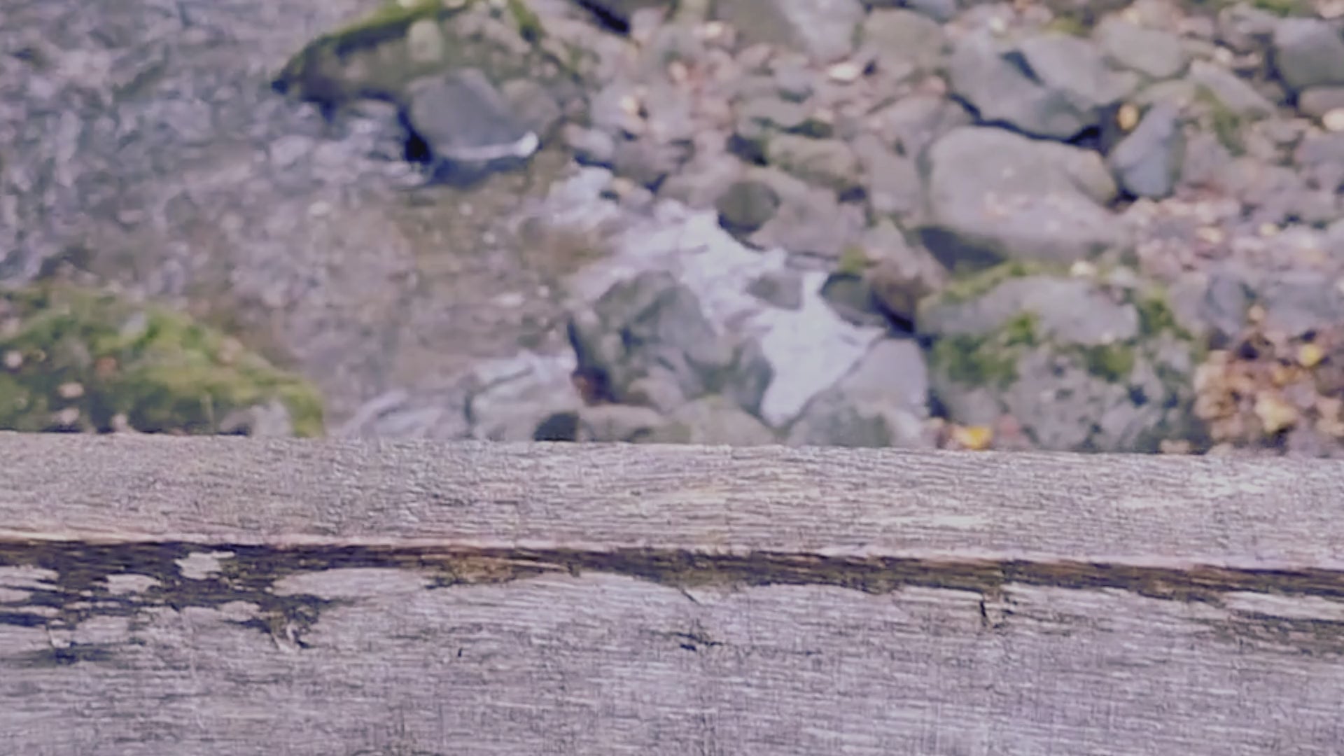 Video laden: 